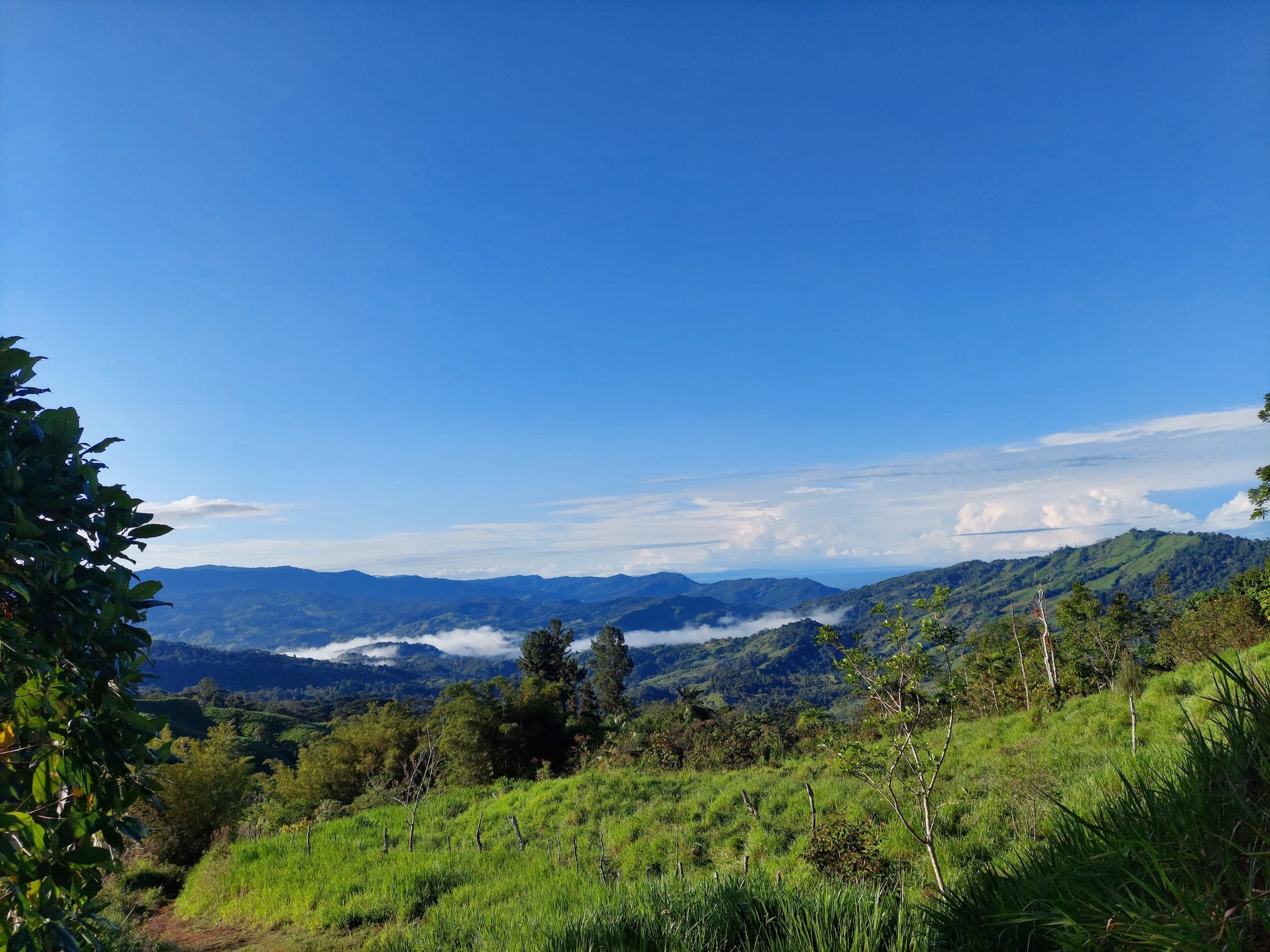 IMG-20240822-WA0043