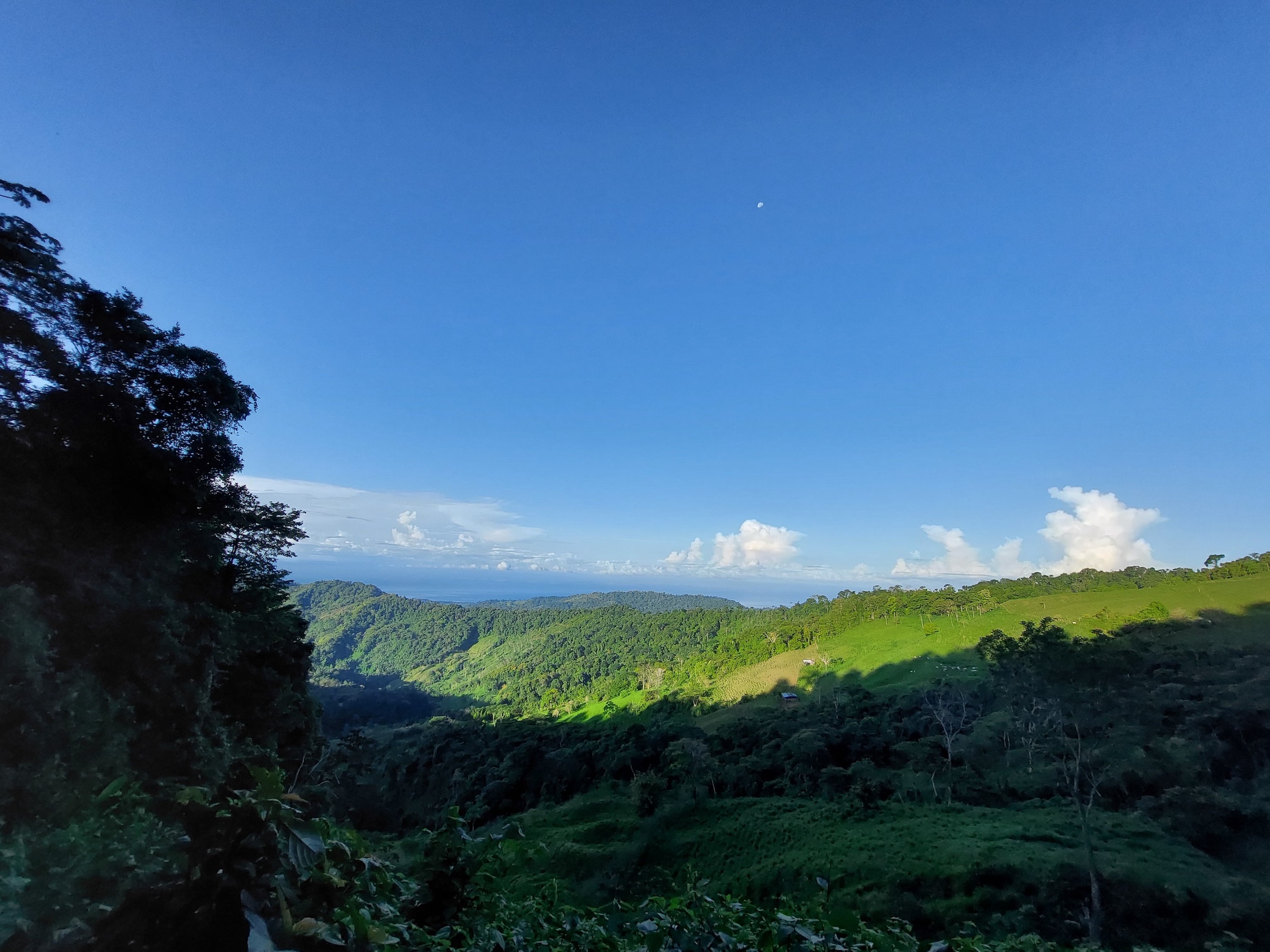 IMG-20240822-WA0045