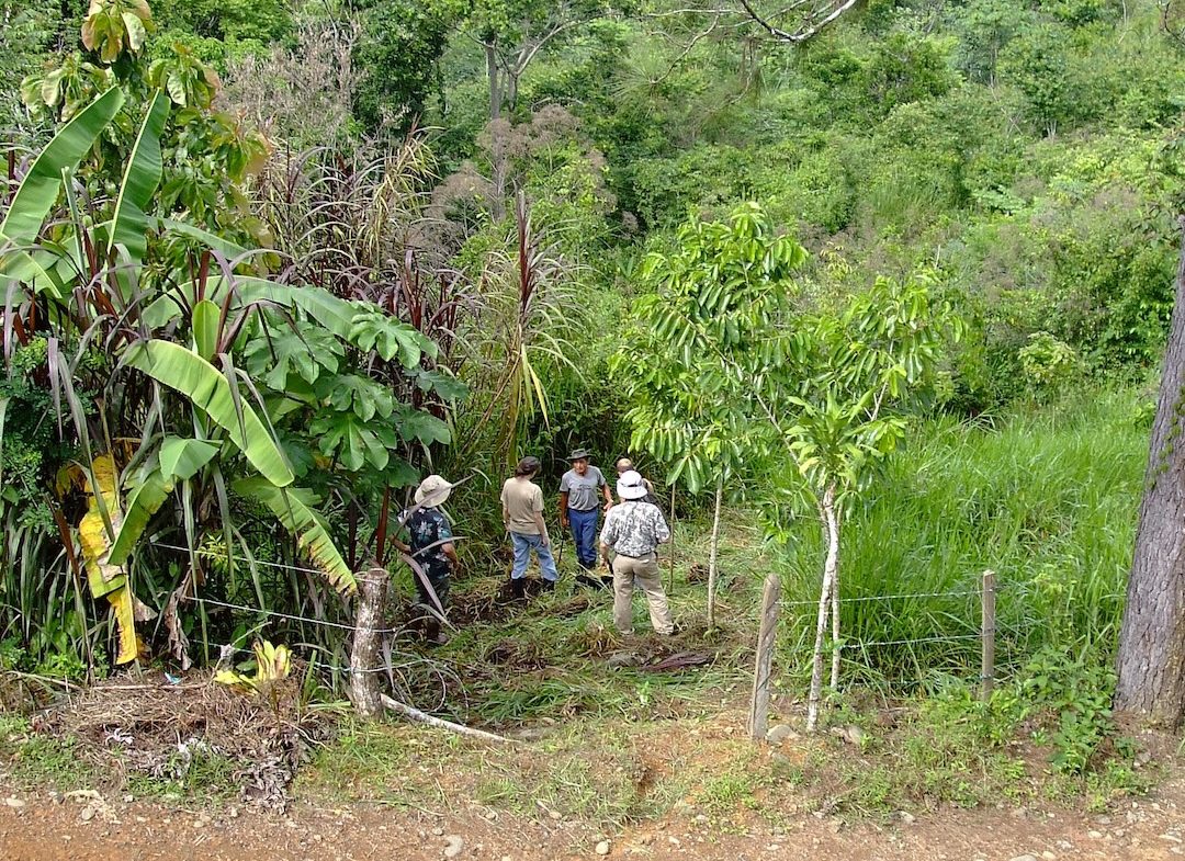 PRIVATE MOUNTAIN SANCTUARY WITH WATERFALLS, RIVER ACCESS AND FOREST – 40 ACRES