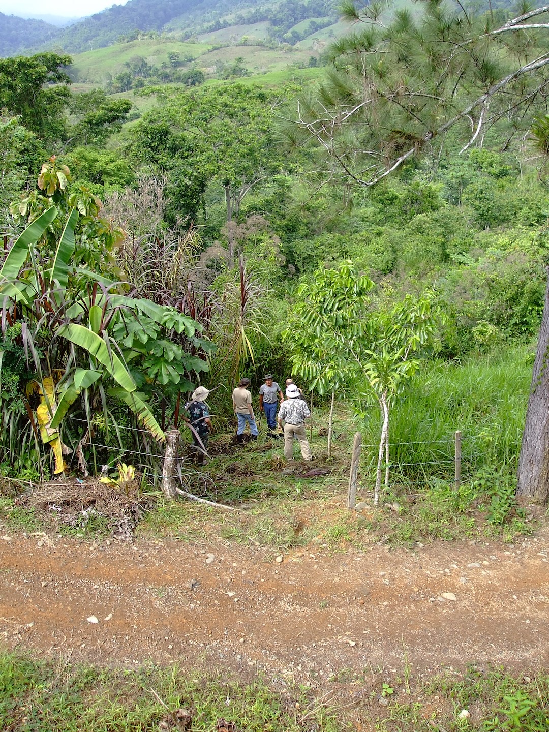 Johnny Diaz driveway one side of farm