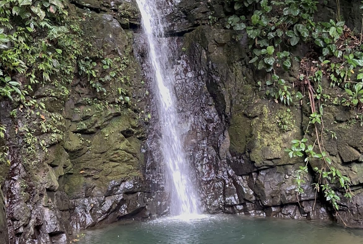 BUILDING PROPERTY WITH SUNSET VIEWS AND NEAR TO THE WATERFALL, IN UVITA – 6.29 ACRES