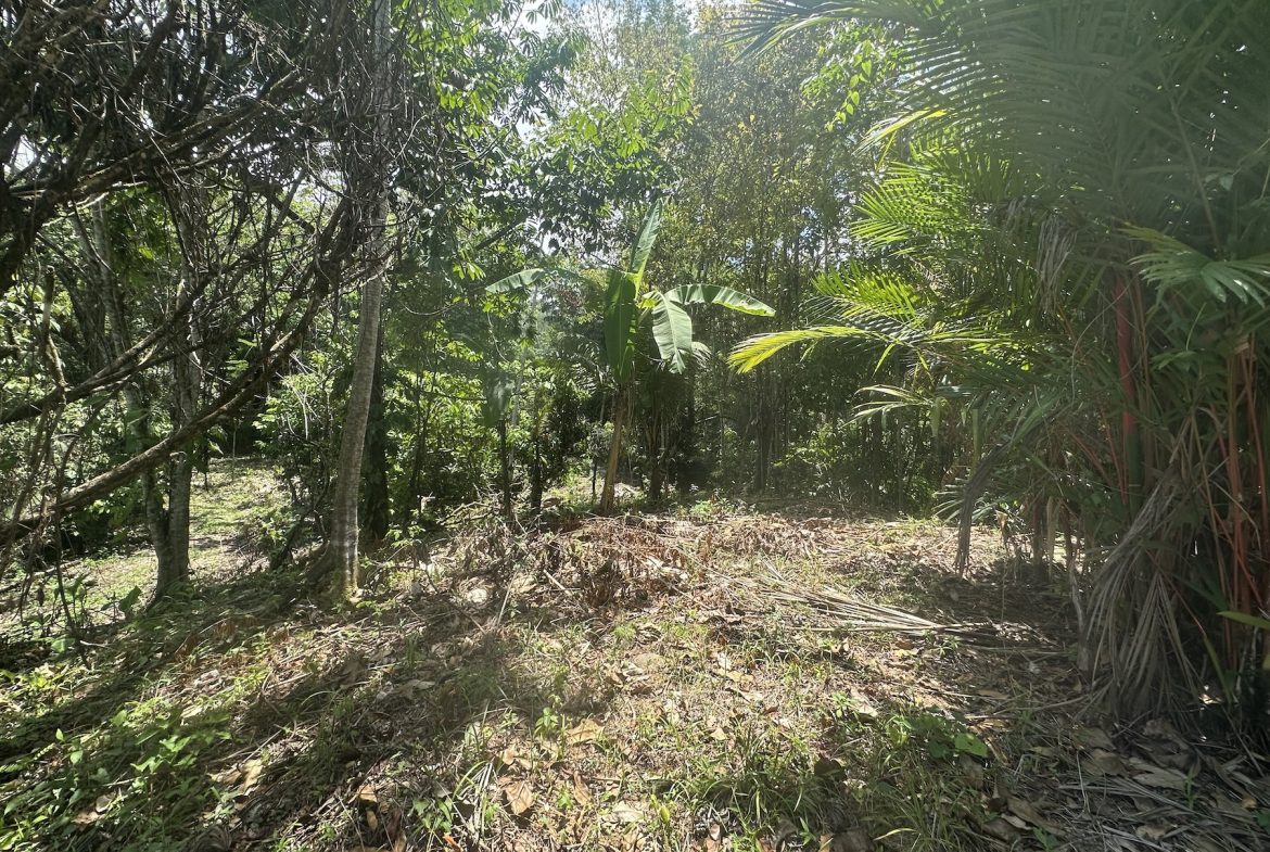 BUILDING PROPERTY WITH SUNSET VIEWS AND NEAR TO THE WATERFALL, IN UVITA – 6.29 ACRES