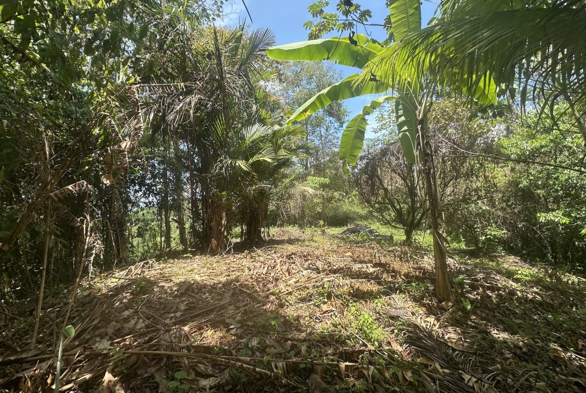 BUILDING PROPERTY WITH SUNSET VIEWS AND NEAR TO THE WATERFALL, IN UVITA – 6.29 ACRES