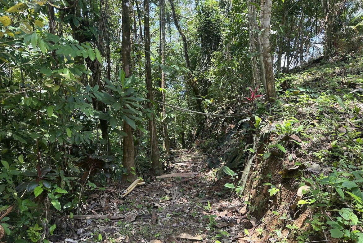 BUILDING PROPERTY WITH SUNSET VIEWS AND NEAR TO THE WATERFALL, IN UVITA – 6.29 ACRES