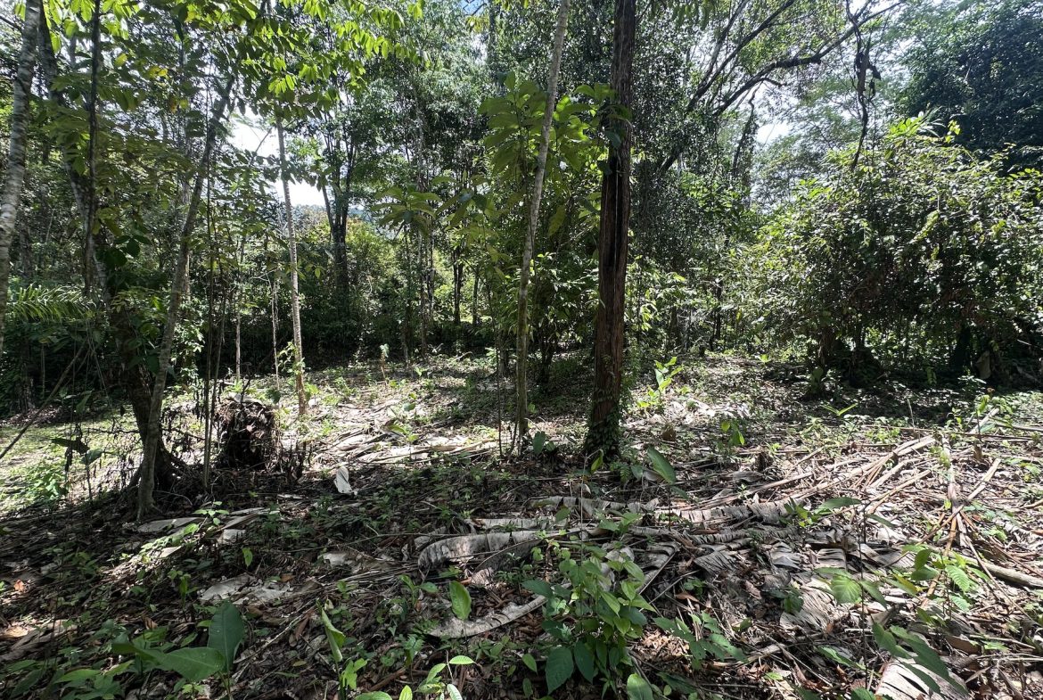 BUILDING PROPERTY WITH SUNSET VIEWS AND NEAR TO THE WATERFALL, IN UVITA – 6.29 ACRES