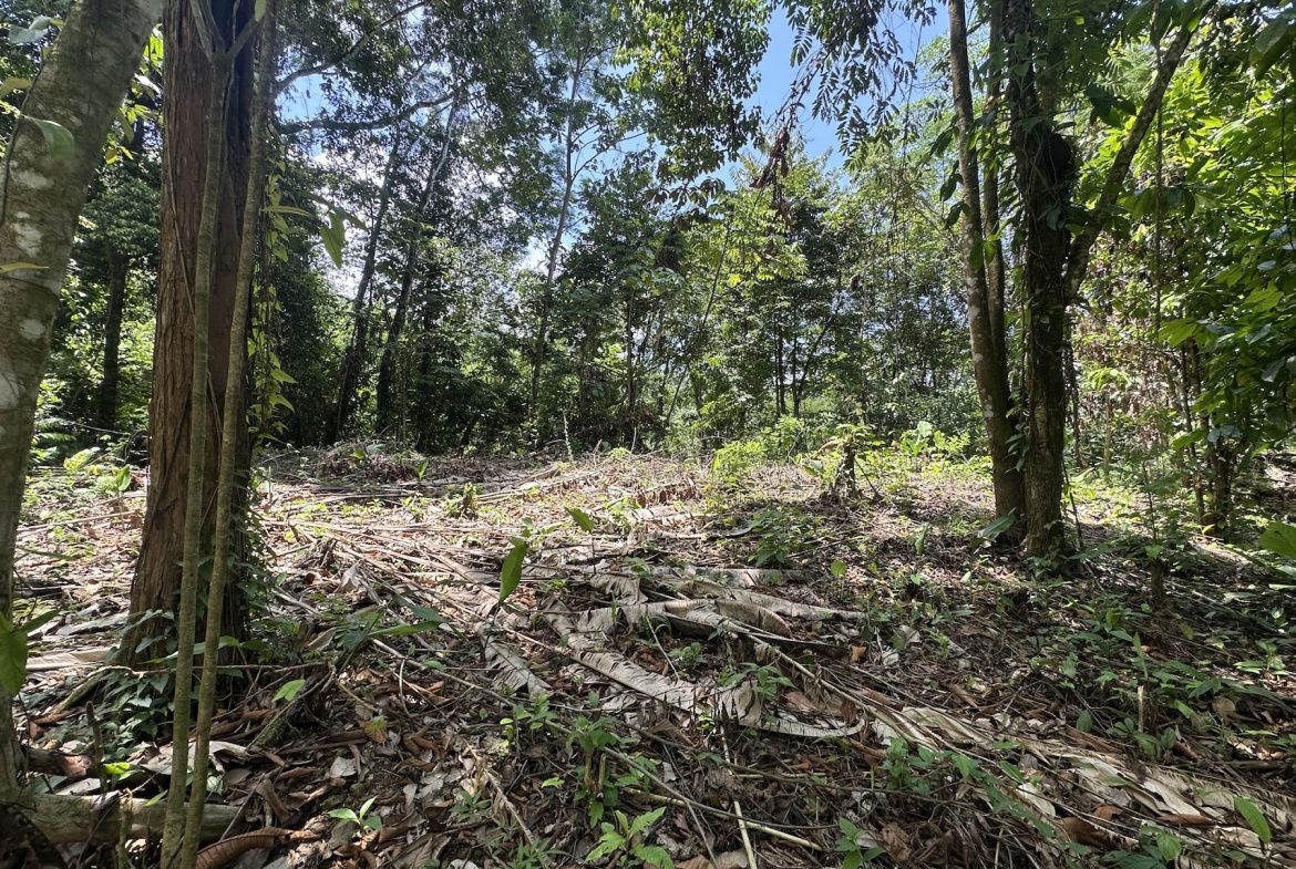 BUILDING PROPERTY WITH SUNSET VIEWS AND NEAR TO THE WATERFALL, IN UVITA – 6.29 ACRES