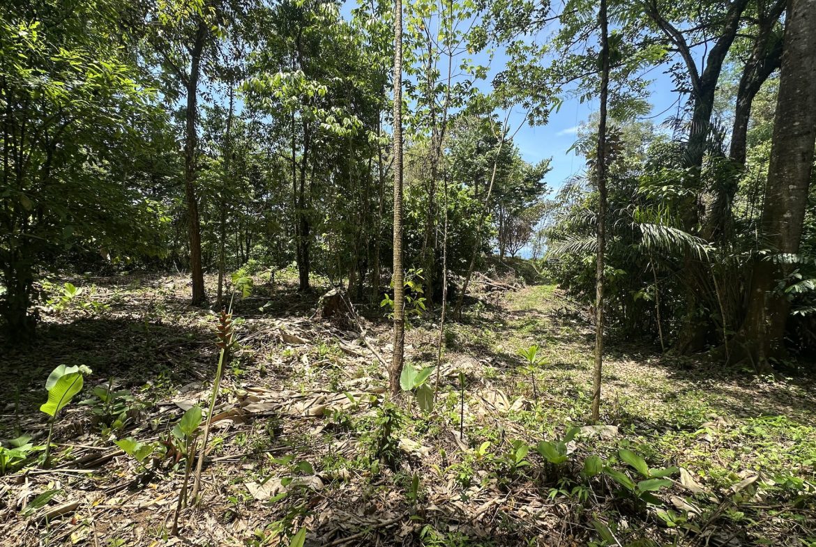 BUILDING PROPERTY WITH SUNSET VIEWS AND NEAR TO THE WATERFALL, IN UVITA – 6.29 ACRES