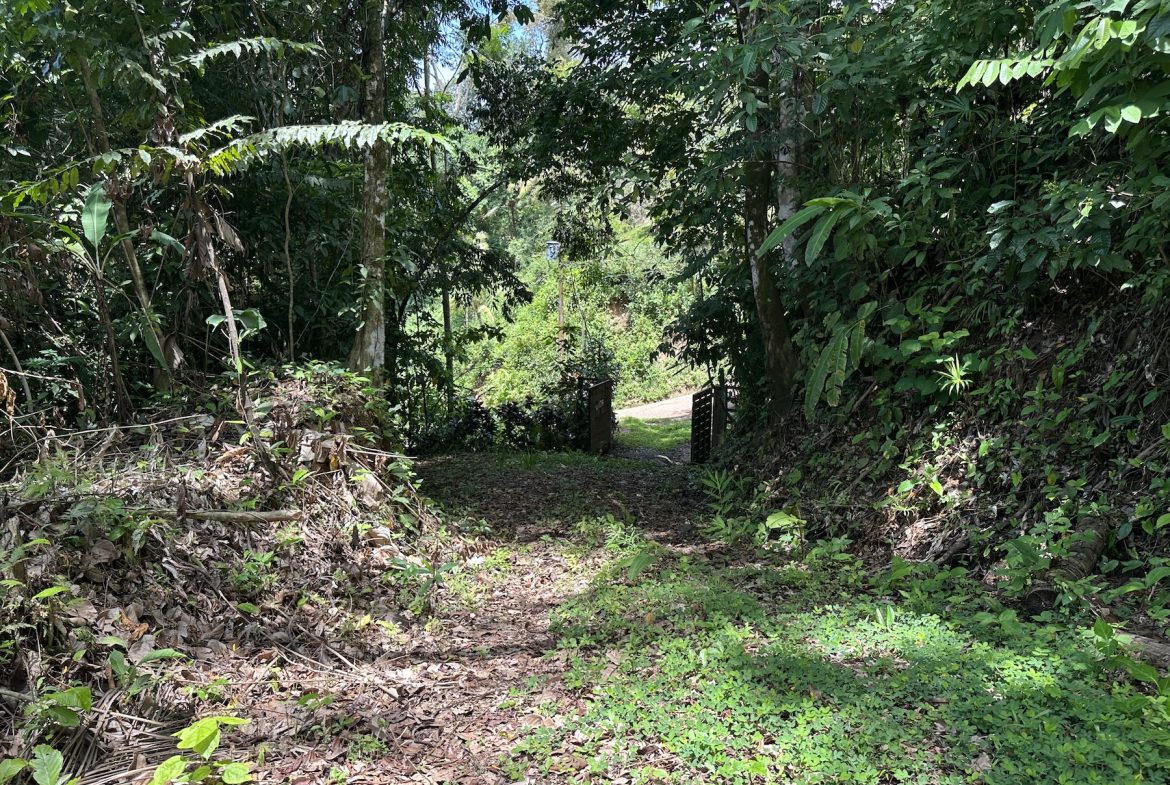 BUILDING PROPERTY WITH SUNSET VIEWS AND NEAR TO THE WATERFALL, IN UVITA – 6.29 ACRES