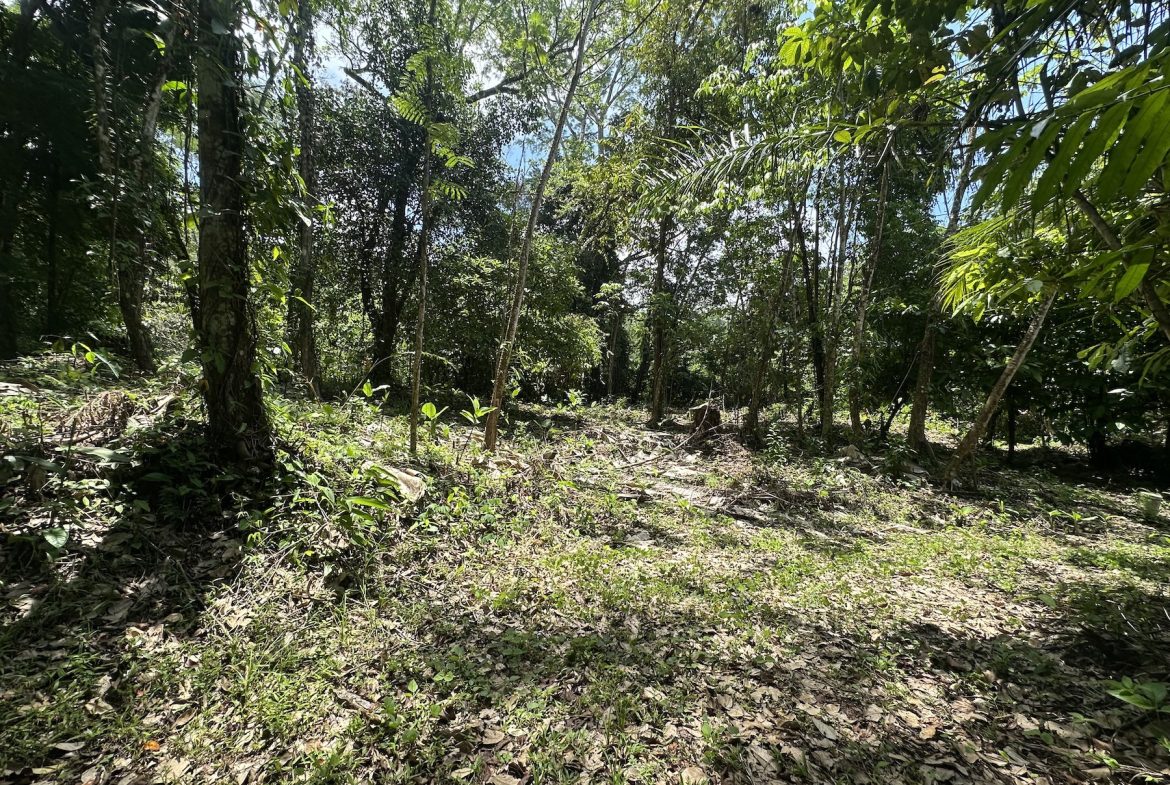 BUILDING PROPERTY WITH SUNSET VIEWS AND NEAR TO THE WATERFALL, IN UVITA – 6.29 ACRES