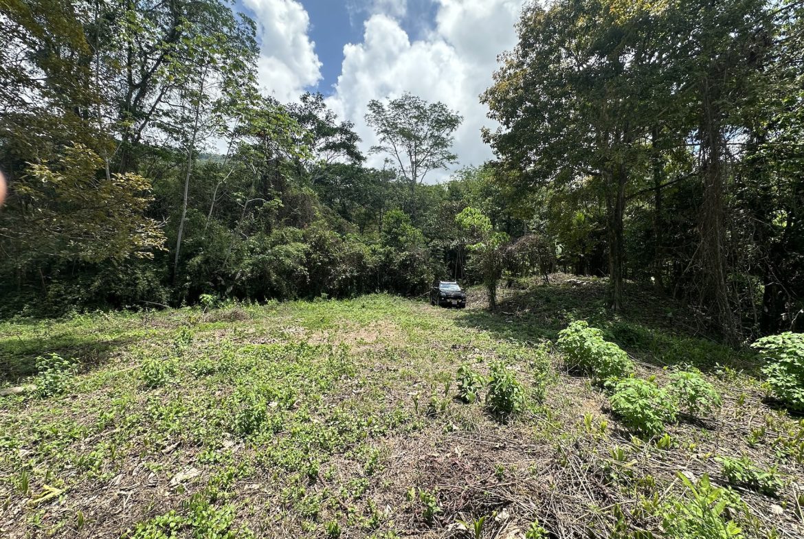 BUILDING PROPERTY WITH SUNSET VIEWS AND NEAR TO THE WATERFALL, IN UVITA – 6.29 ACRES