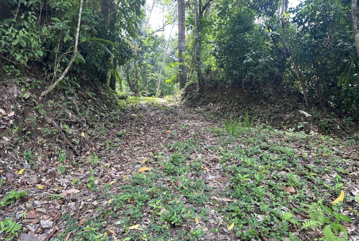 BUILDING PROPERTY WITH SUNSET VIEWS AND NEAR TO THE WATERFALL, IN UVITA – 6.29 ACRES