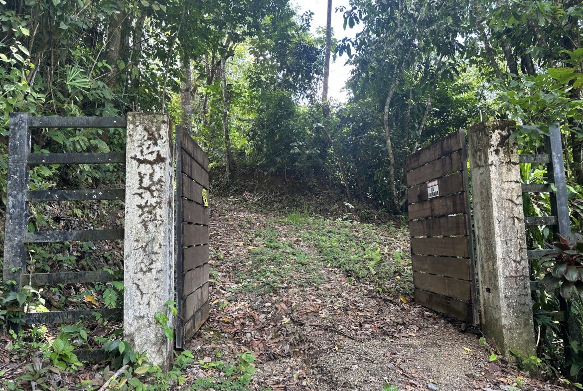 BUILDING PROPERTY WITH SUNSET VIEWS AND NEAR TO THE WATERFALL, IN UVITA – 6.29 ACRES