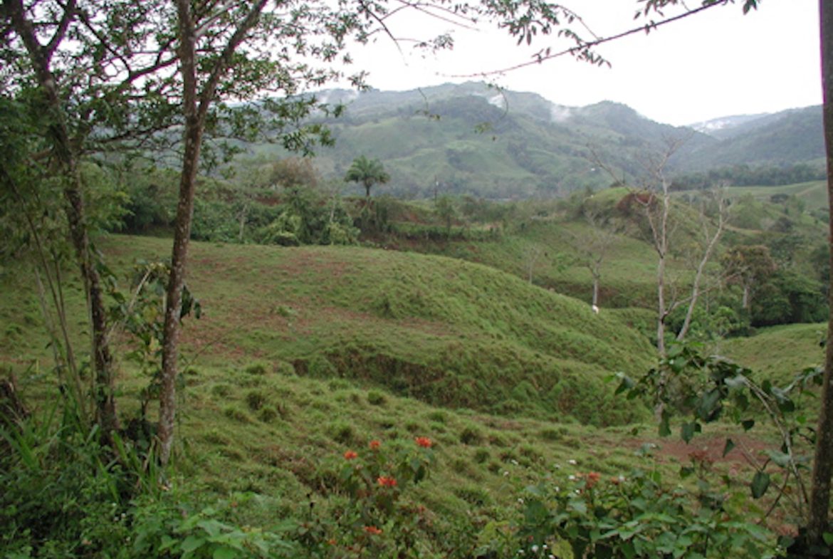 PRIVATE MOUNTAIN SANCTUARY WITH WATERFALLS, RIVER ACCESS AND FOREST – 40 ACRES