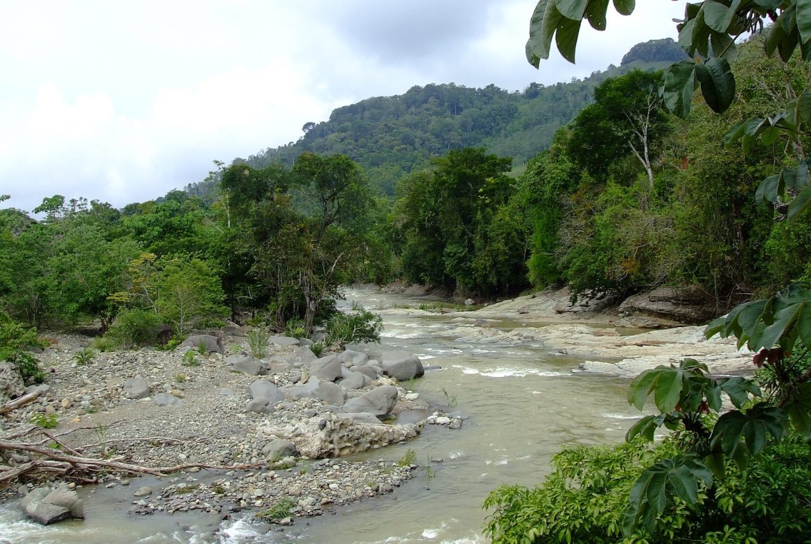 PRIVATE MOUNTAIN SANCTUARY WITH WATERFALLS, RIVER ACCESS AND FOREST – 40 ACRES