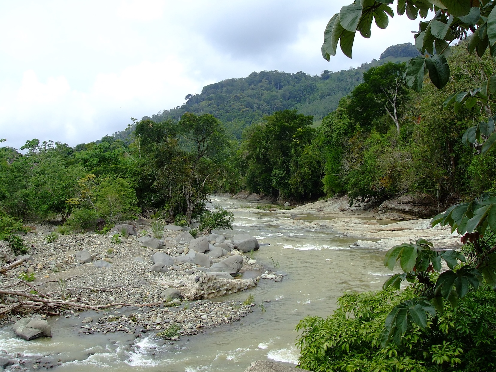 Rio Guabo near farm