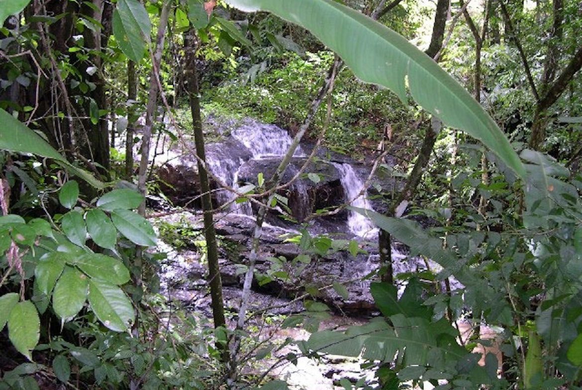 PRIVATE MOUNTAIN SANCTUARY WITH WATERFALLS, RIVER ACCESS AND FOREST – 40 ACRES