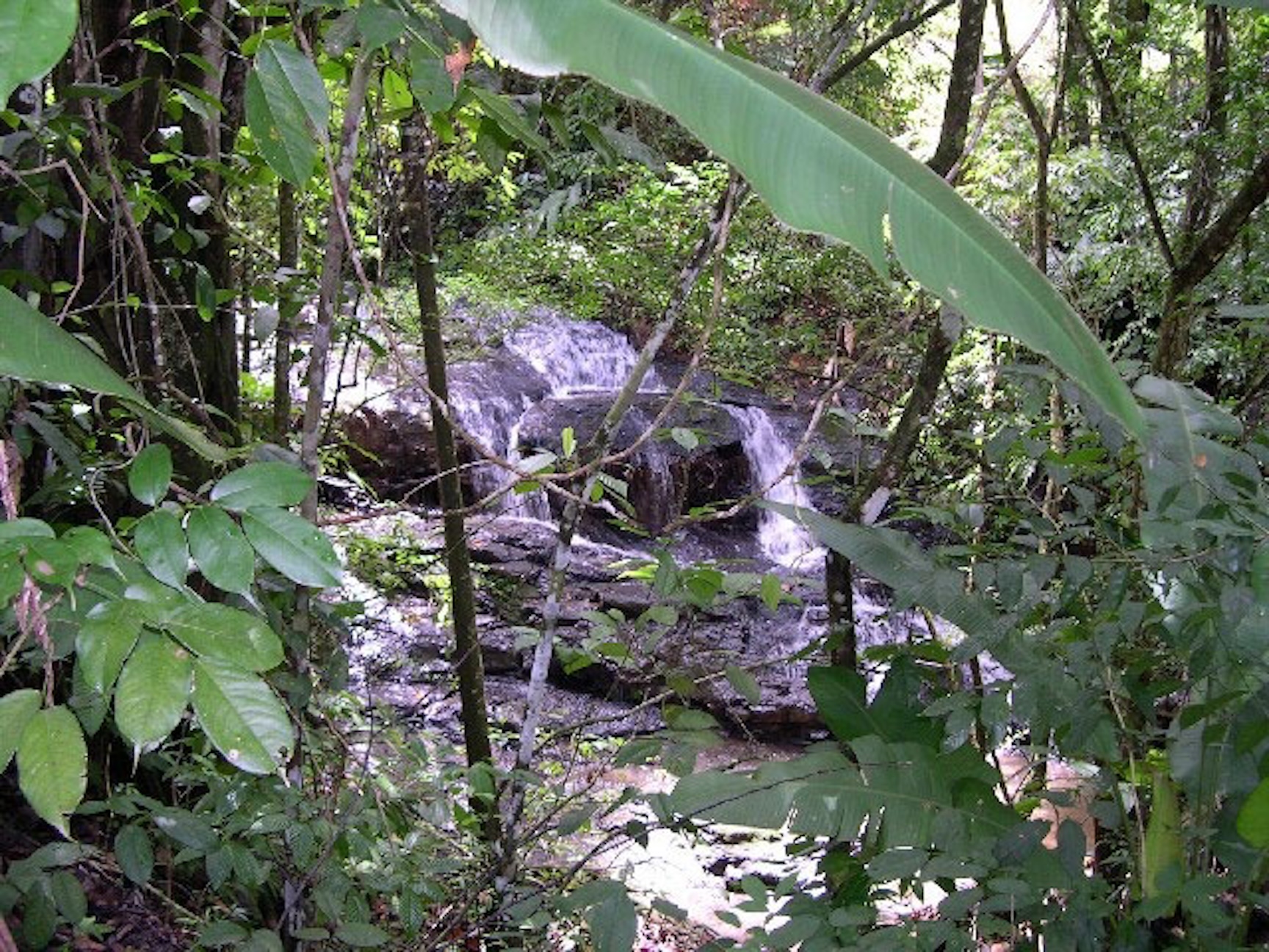 Stream-on-farm copy