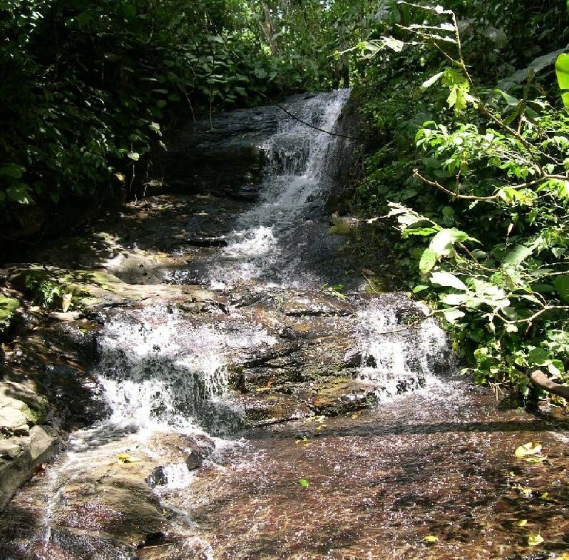 PRIVATE MOUNTAIN SANCTUARY WITH WATERFALLS, RIVER ACCESS AND FOREST – 40 ACRES