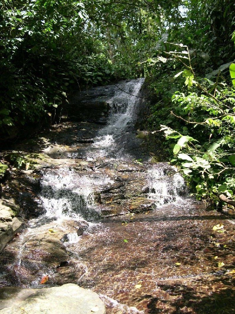 Waterfall