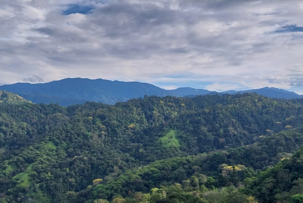 DEVELOPMENT PROPERTY NEAR TO THE WATERFALL, IN SILENCIO SAVEGRE – 128 ACRES