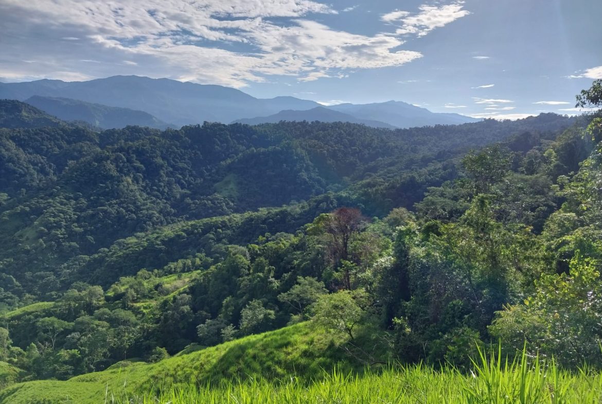 DEVELOPMENT PROPERTY NEAR TO THE WATERFALL, IN SILENCIO SAVEGRE – 128 ACRES