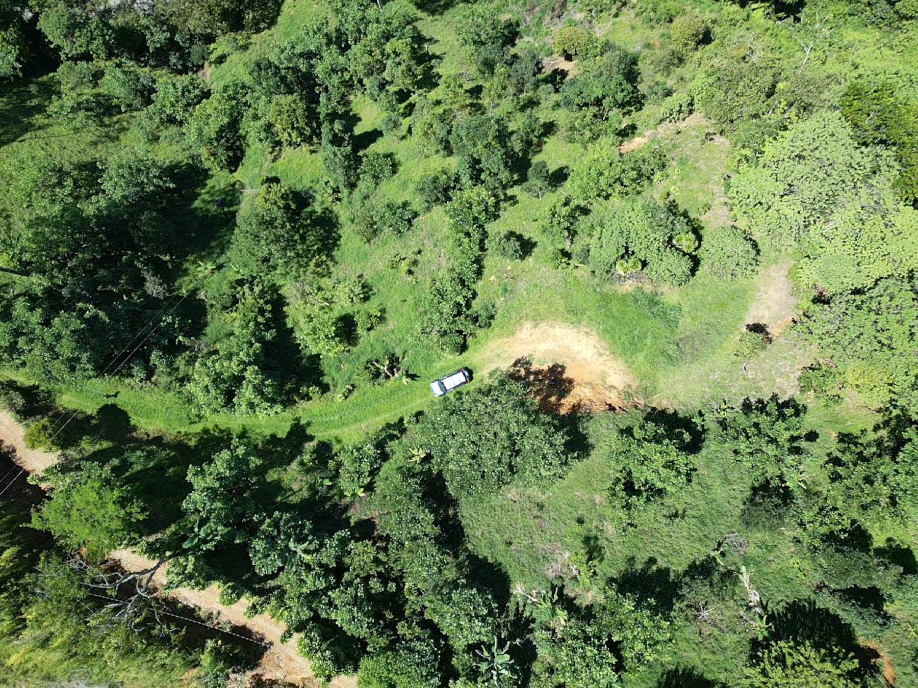 green air plantel
