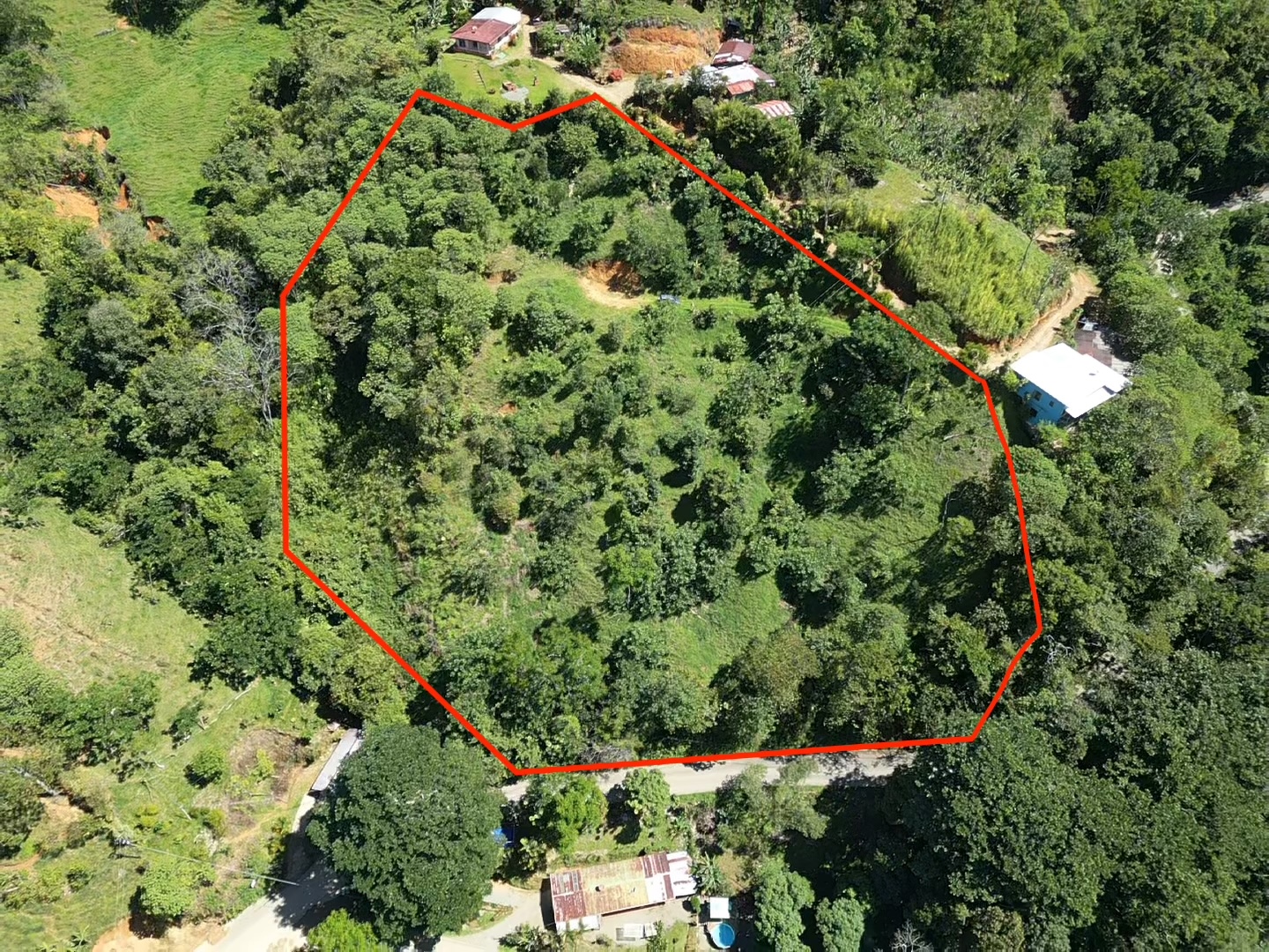 property lines