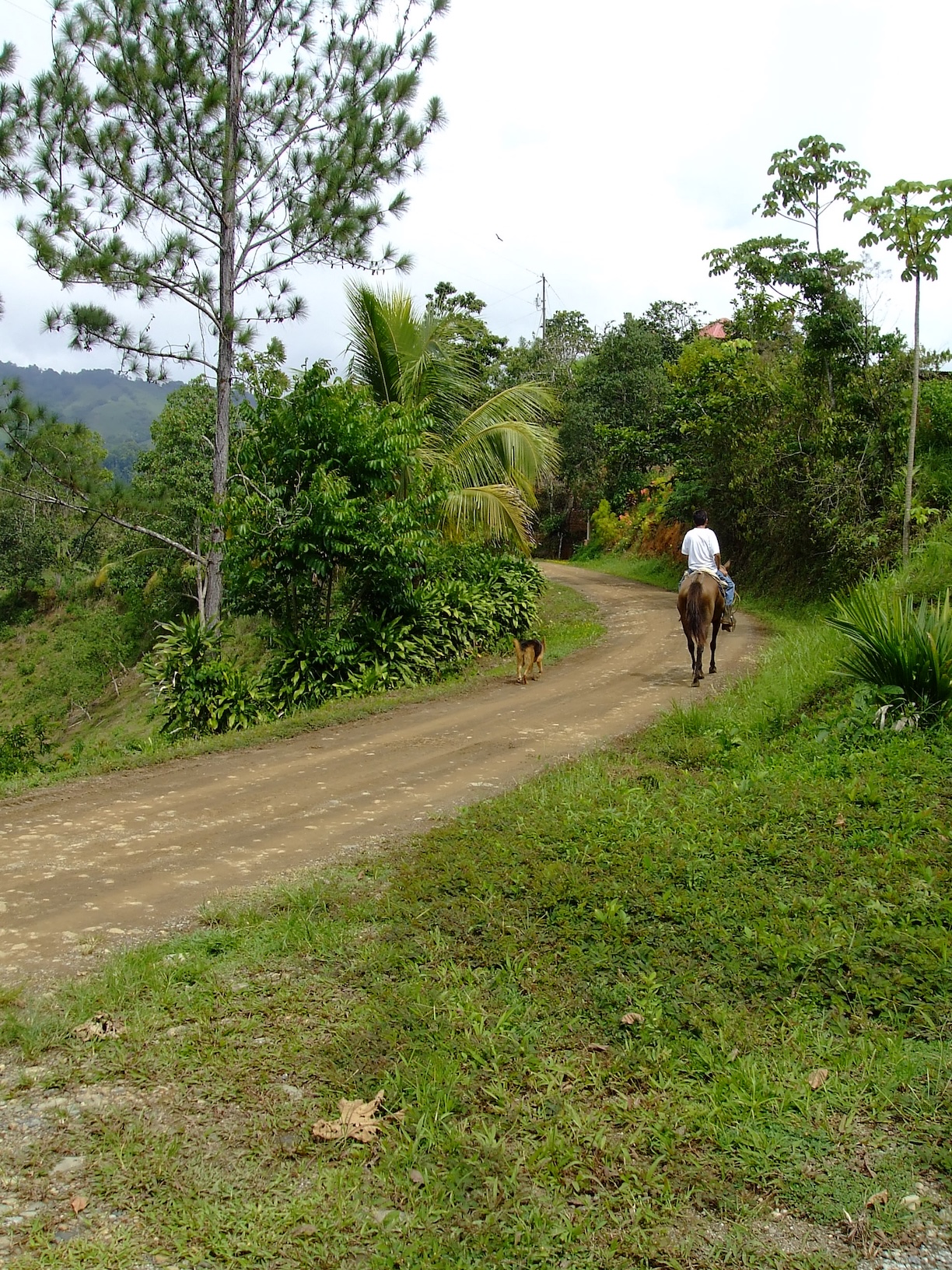 road alongside R_R