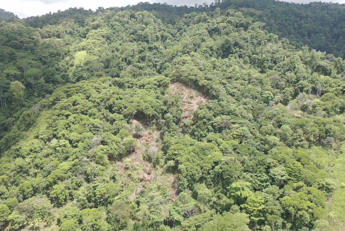 BUILDING PROPERTY WITH MOUNTAIN VIEWS AND NEAR TO THE WATERFALL, IN SILENCIO SAVEGRE – 42.4 ACRES