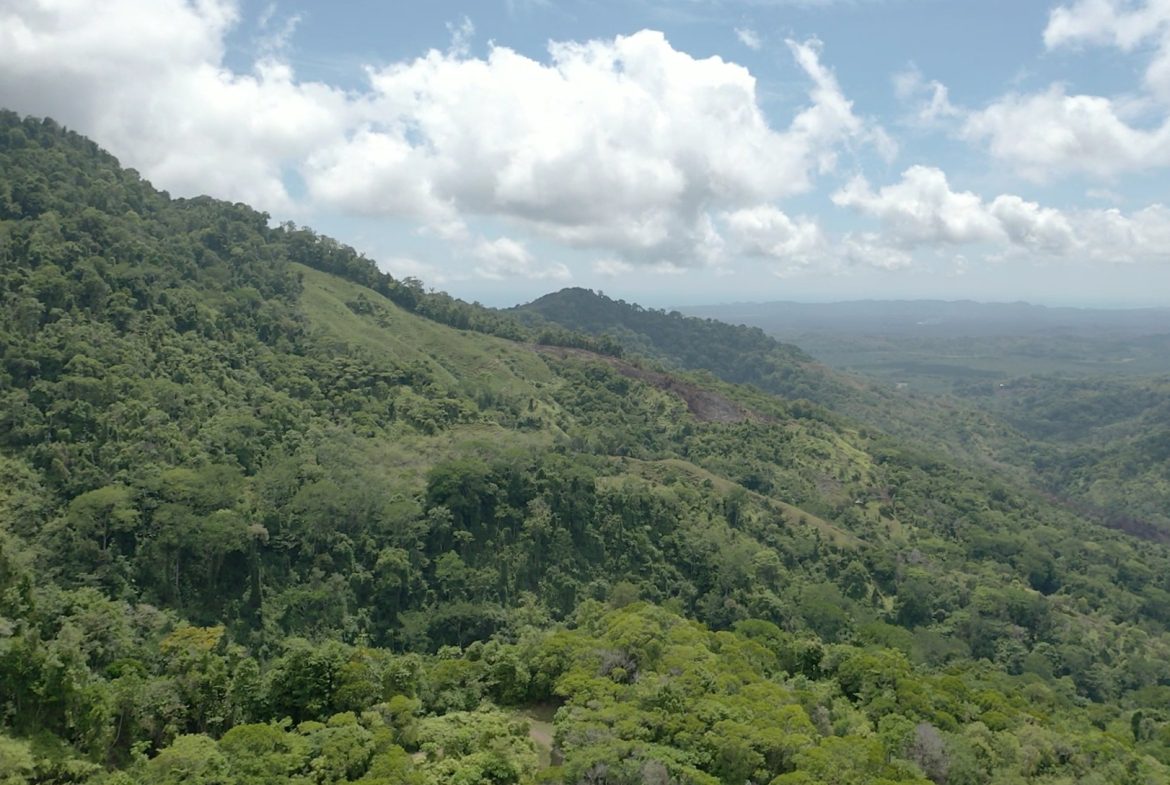 BUILDING PROPERTY WITH MOUNTAIN VIEWS AND NEAR TO THE WATERFALL, IN SILENCIO SAVEGRE – 42.4 ACRES