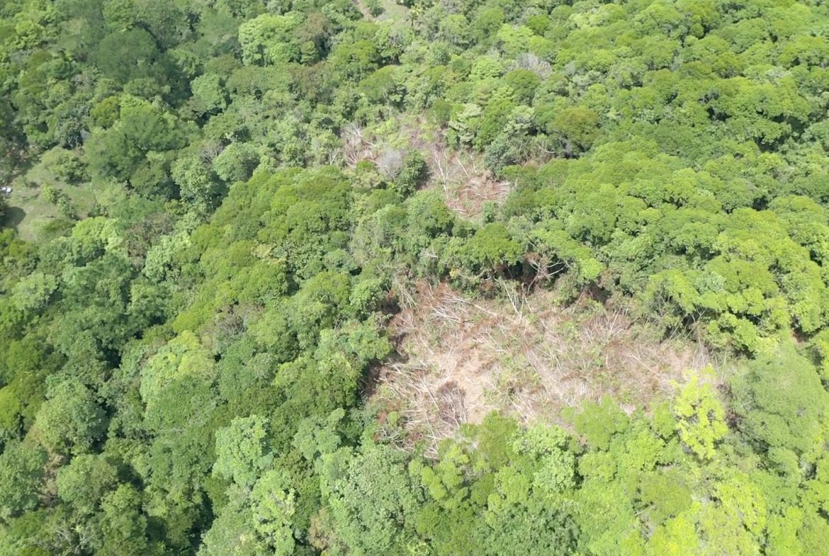 BUILDING PROPERTY WITH MOUNTAIN VIEWS AND NEAR TO THE WATERFALL, IN SILENCIO SAVEGRE – 42.4 ACRES