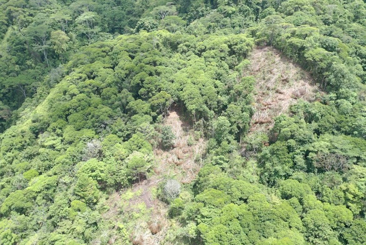 BUILDING PROPERTY WITH MOUNTAIN VIEWS AND NEAR TO THE WATERFALL, IN SILENCIO SAVEGRE – 42.4 ACRES