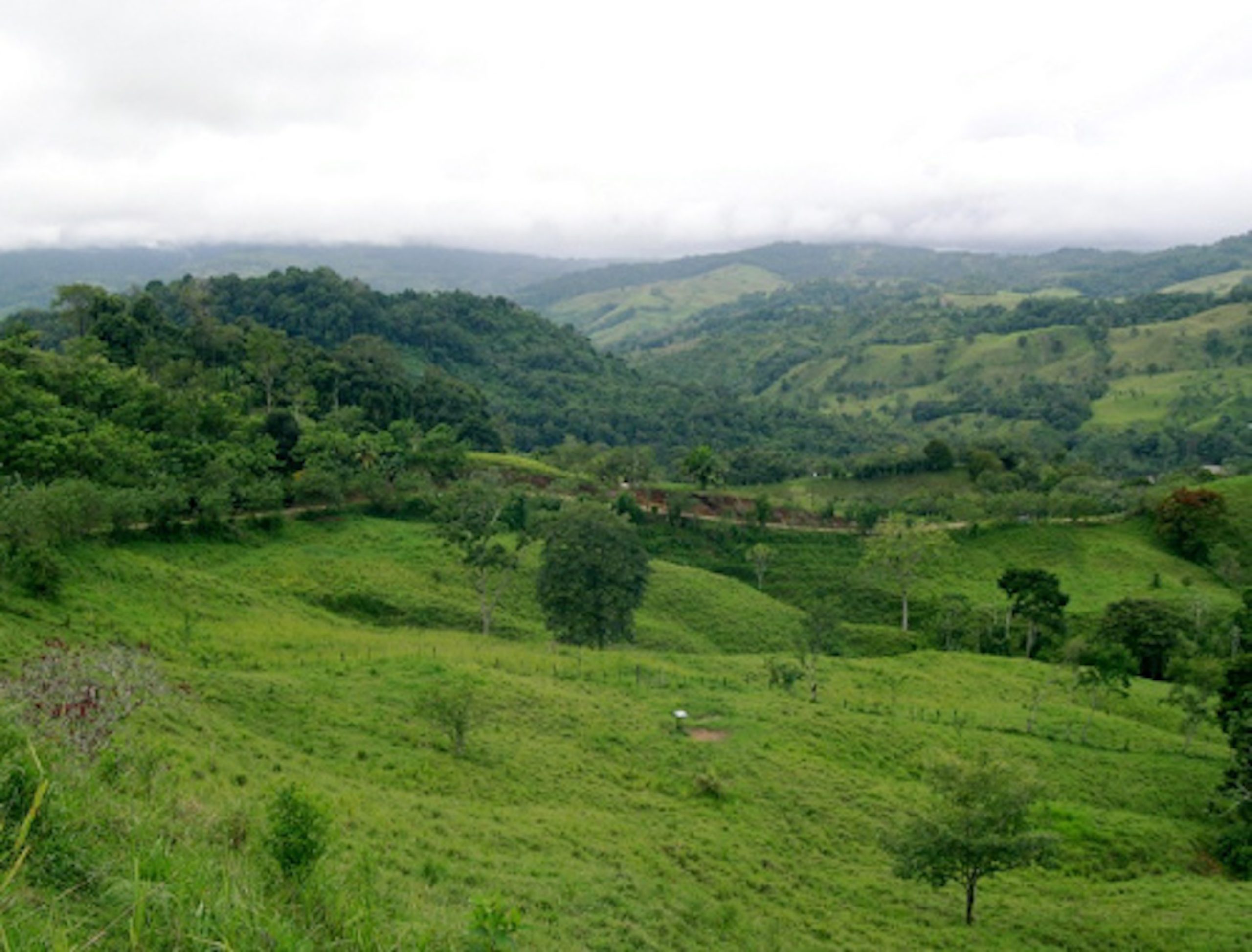views towards Tres Piedras _ 2 planos copy
