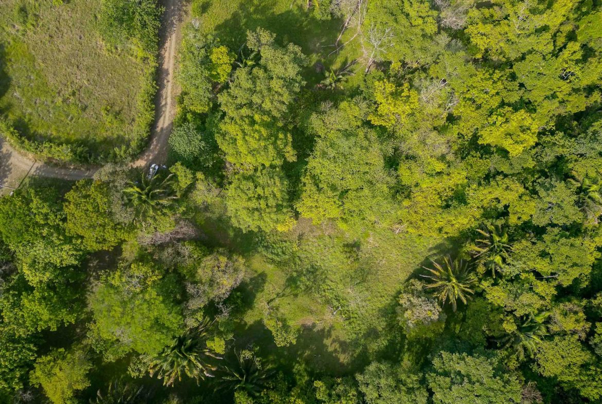 BUILDING PROPERTY WITH A BEAUTIFUL CREEK PASS IN THE MIDDLE OF THE PROPERTY, IN LOURDES QUEPOS – 2.8 ACRES