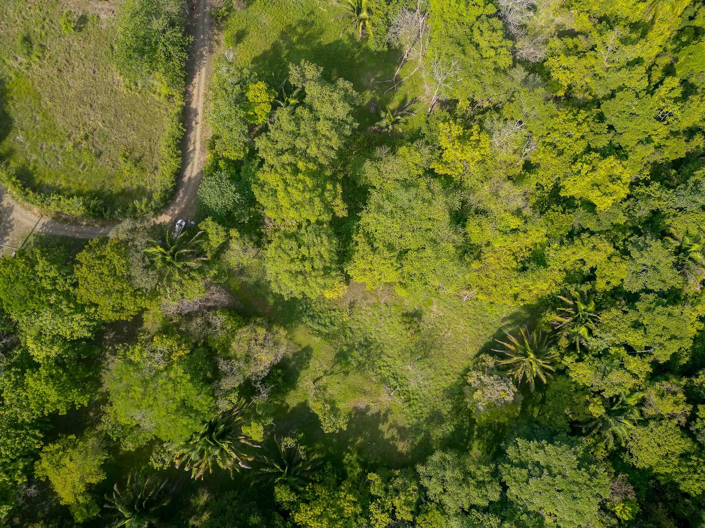 DJI_0189