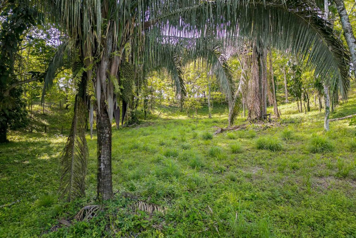 BUILDING PROPERTY WITH A BEAUTIFUL CREEK PASS IN THE MIDDLE OF THE PROPERTY, IN LOURDES QUEPOS – 2.8 ACRES