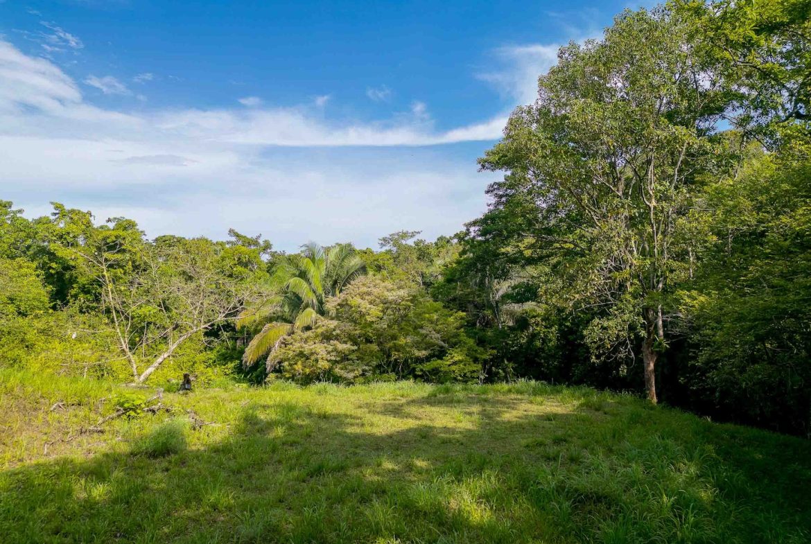 BUILDING PROPERTY WITH A BEAUTIFUL CREEK PASS IN THE MIDDLE OF THE PROPERTY, IN LOURDES QUEPOS – 2.8 ACRES