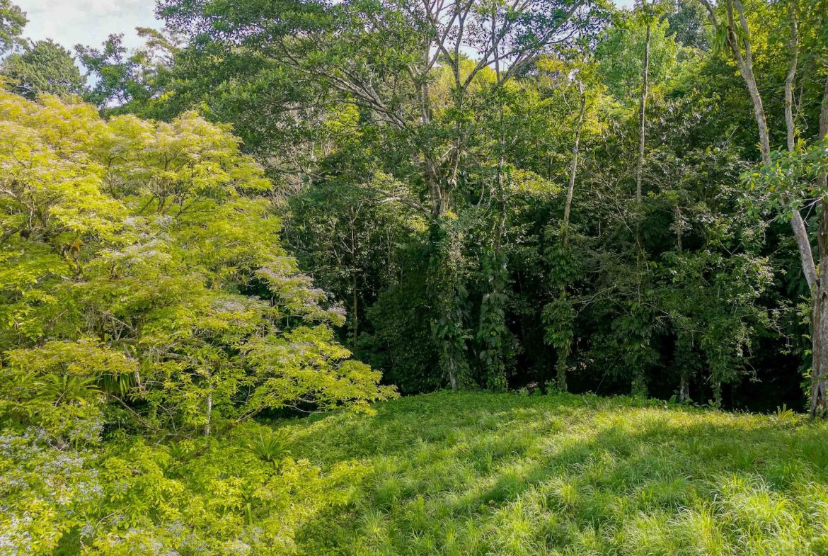 BUILDING PROPERTY WITH A BEAUTIFUL CREEK PASS IN THE MIDDLE OF THE PROPERTY, IN LOURDES QUEPOS – 2.8 ACRES