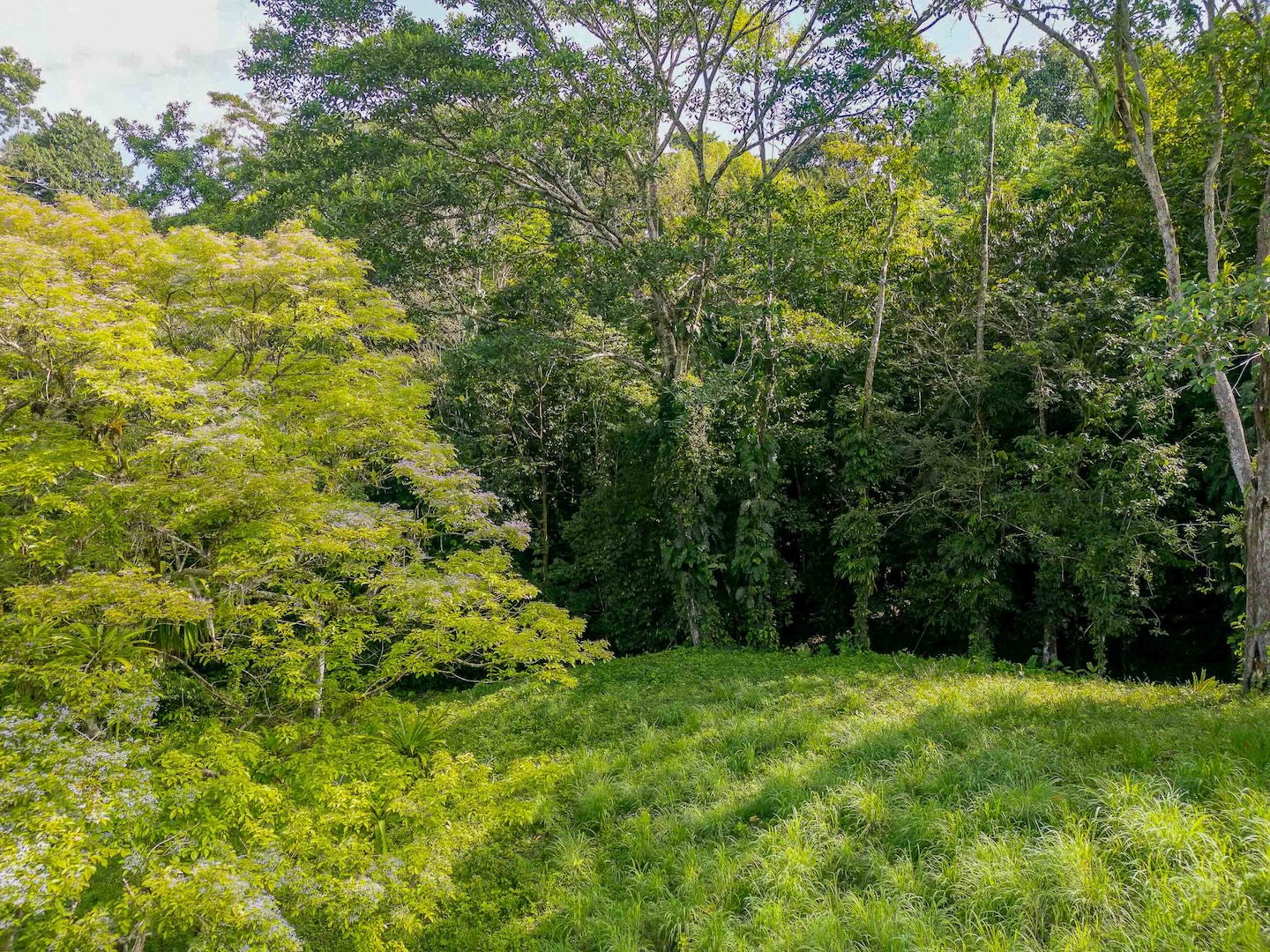DJI_0207