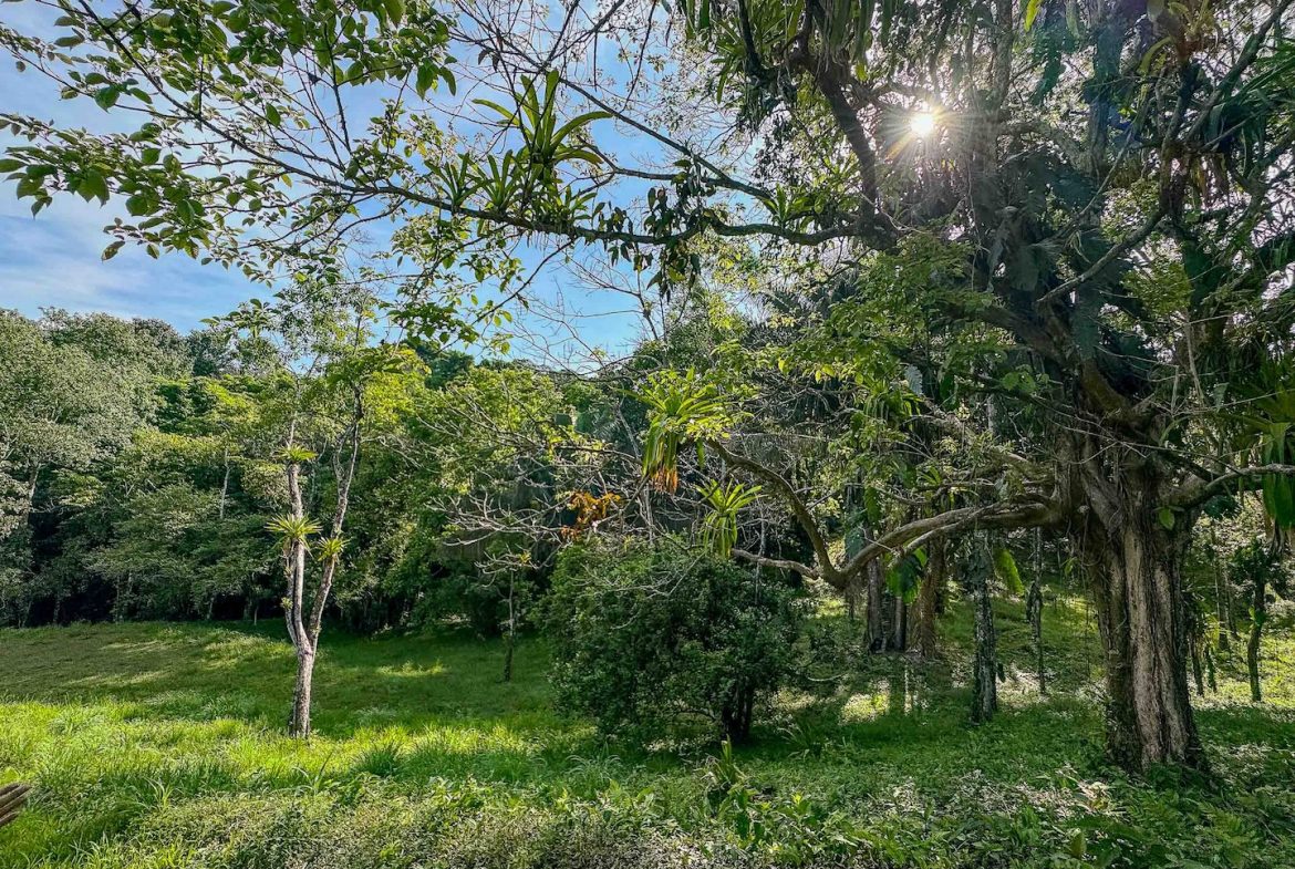 BUILDING PROPERTY WITH A BEAUTIFUL CREEK PASS IN THE MIDDLE OF THE PROPERTY, IN LOURDES QUEPOS – 2.8 ACRES