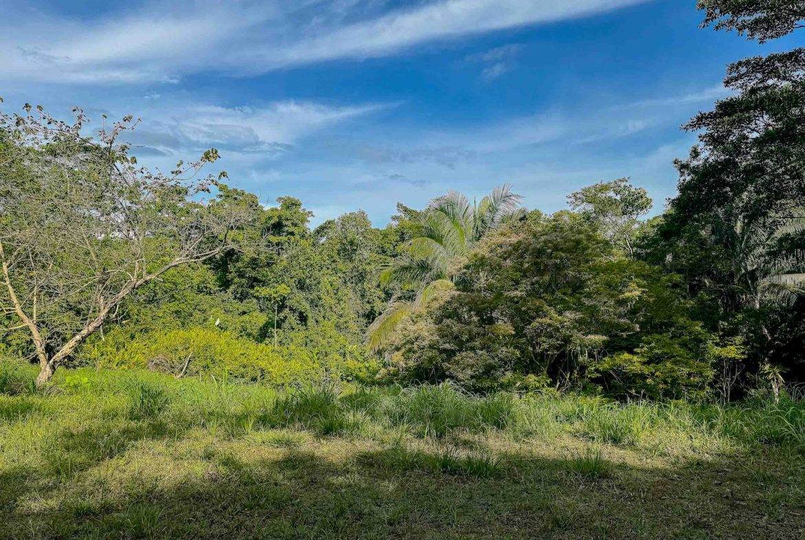 BUILDING PROPERTY WITH A BEAUTIFUL CREEK PASS IN THE MIDDLE OF THE PROPERTY, IN LOURDES QUEPOS – 2.8 ACRES
