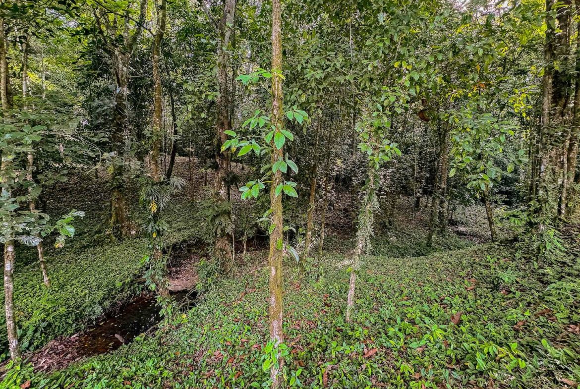 BUILDING PROPERTY WITH A BEAUTIFUL CREEK PASS IN THE MIDDLE OF THE PROPERTY, IN LOURDES QUEPOS – 2.8 ACRES