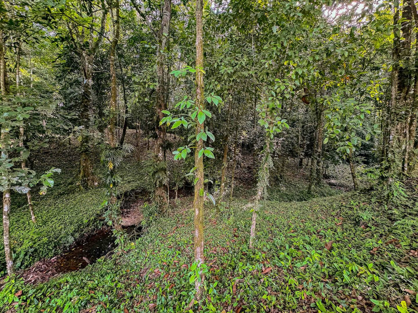 IMG_7531
