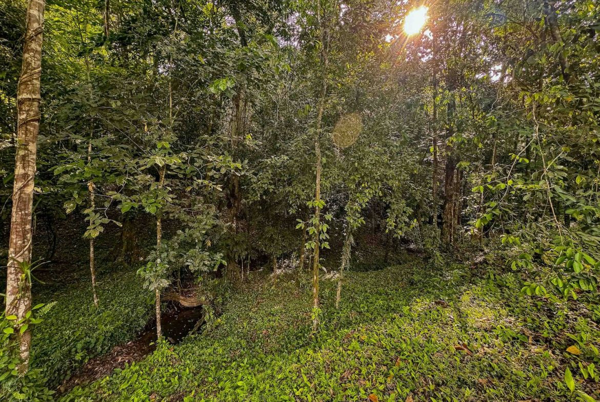 BUILDING PROPERTY WITH A BEAUTIFUL CREEK PASS IN THE MIDDLE OF THE PROPERTY, IN LOURDES QUEPOS – 2.8 ACRES