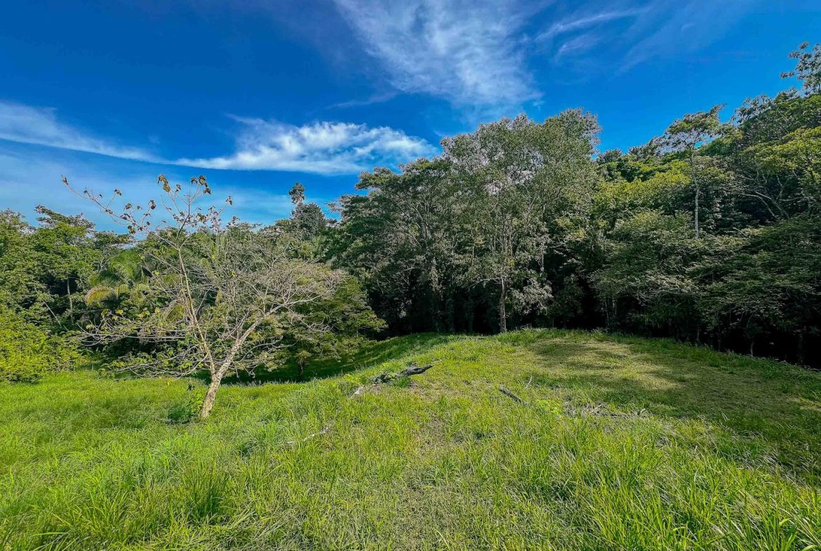 BUILDING PROPERTY WITH A BEAUTIFUL CREEK PASS IN THE MIDDLE OF THE PROPERTY, IN LOURDES QUEPOS – 2.8 ACRES