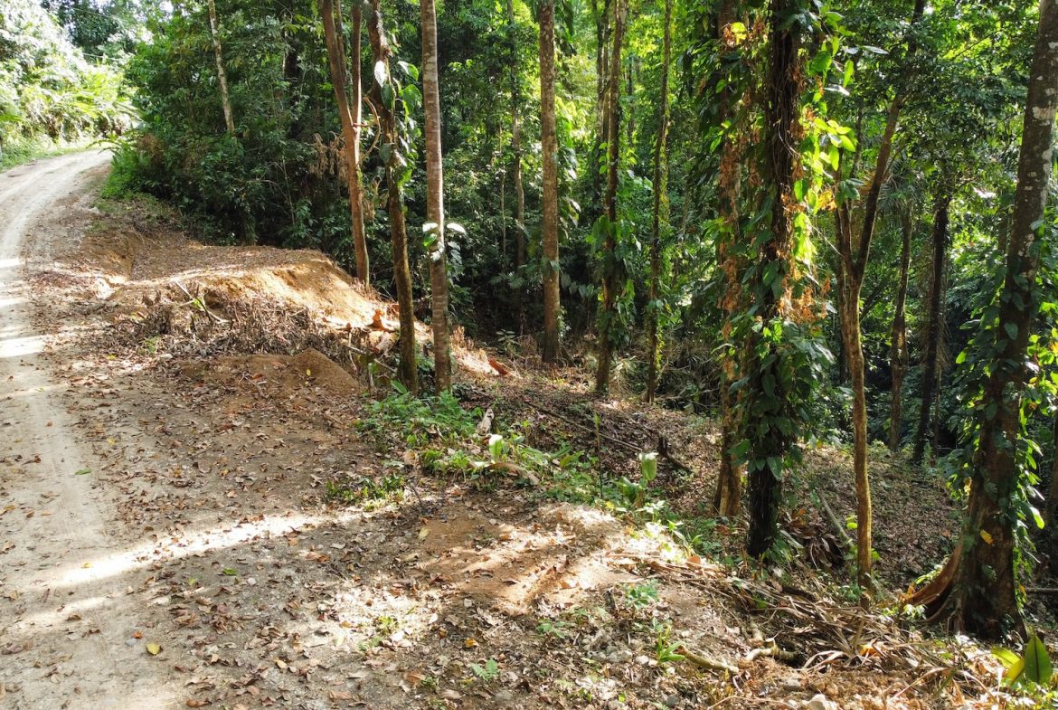 BUILDING PROPERTY IN THE MIDDLE OF THE NATURE IN A GATED COMMUNITY, SAN ANTONIO DAMAS – 1.33 ACRES