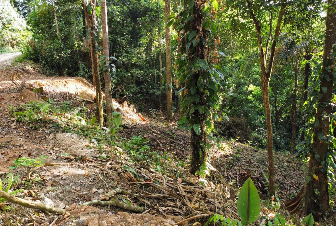 BUILDING PROPERTY IN THE MIDDLE OF THE NATURE IN A GATED COMMUNITY, SAN ANTONIO DAMAS – 1.33 ACRES