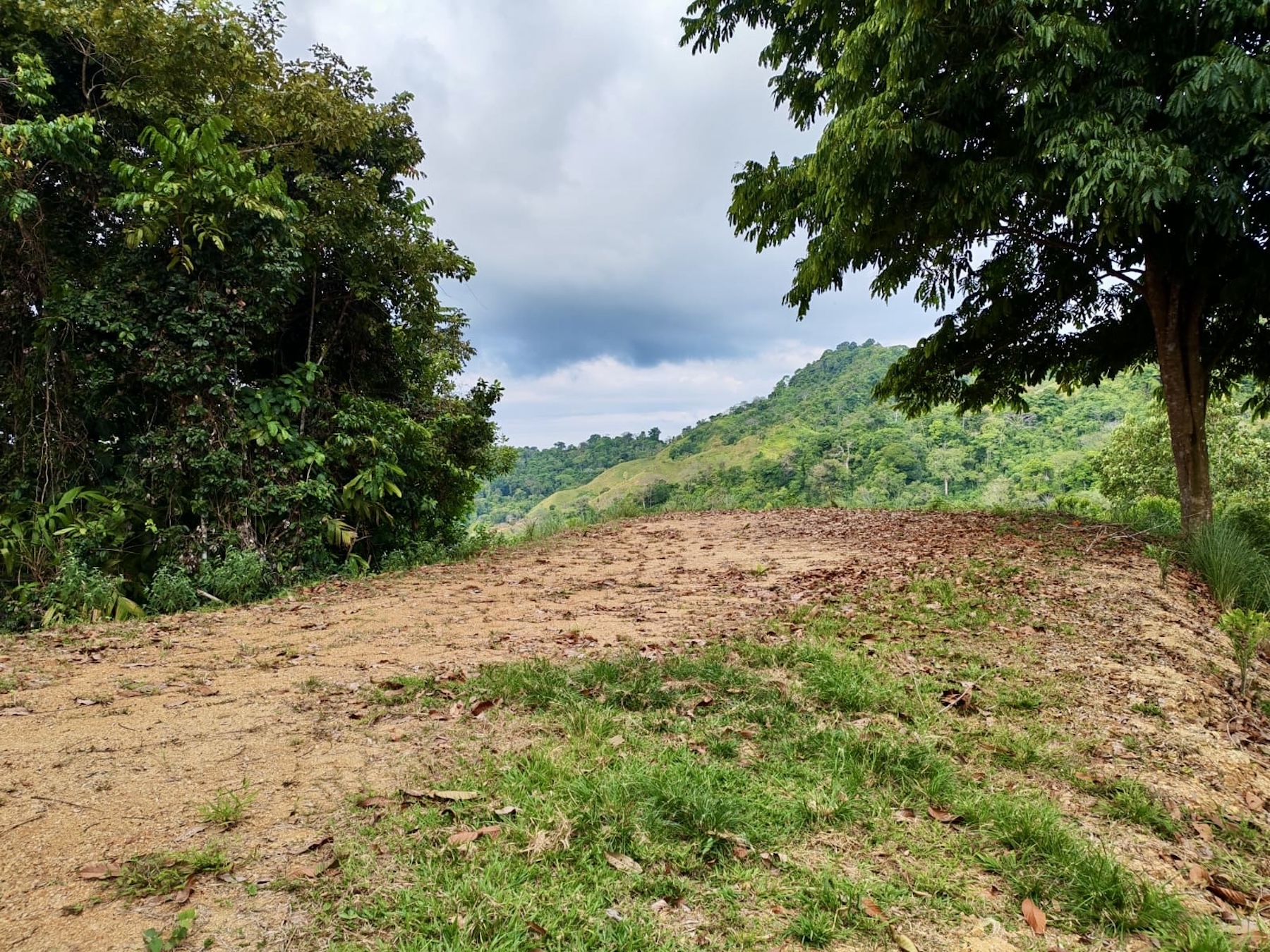 10-HECTARE PROPERTY IN THE MOUNTAINS OF SAN CRISTÓBAL DE AGUIRRE, NEAR TO SILENCIO