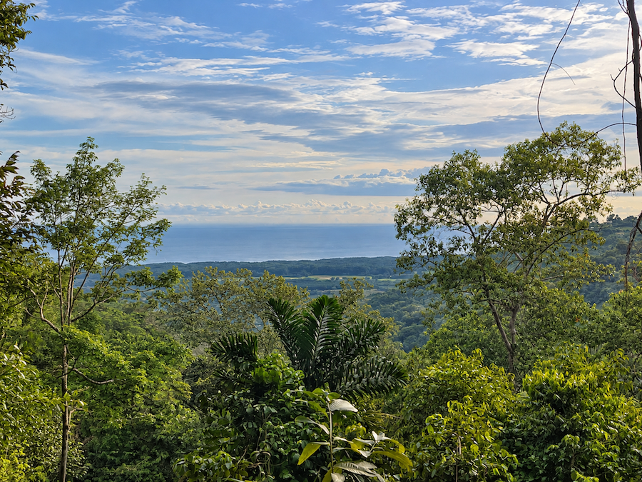 5.93-ACRE LOT WITH OCEAN VIEW AND NATURE RESERVE, IN PORTASOL