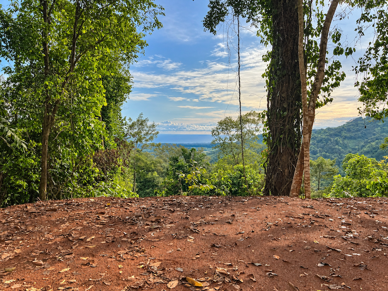 5.93-ACRE LOT WITH OCEAN VIEW AND NATURE RESERVE, IN PORTASOL